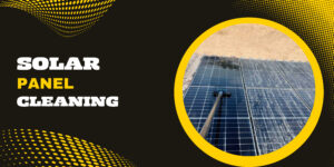 Solar Panel Cleaning in Phoenix