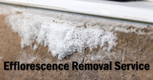 Pressure Washing for Efflorescence Removal