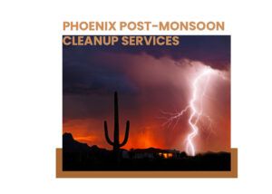 Phoenix Post-Monsoon cleaning Services