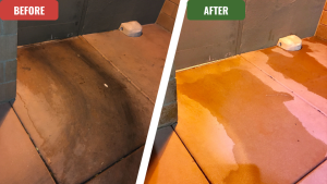 Before and after comparison of a commercial sidewalk in Tempe. The 'before' side is dark with dirt, gum, and spill stains, while the 'after' side is bright and clean, creating a welcoming first impression for the business after a professional pressure washing.
