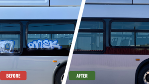 A before-and-after comparison of a Phoenix city bus vandalized with spray paint graffiti. The 'after' photo shows the graffiti is completely gone and the bus's original paint is unharmed, demonstrating our expert, safe graffiti removal process for high-value fleet vehicles.